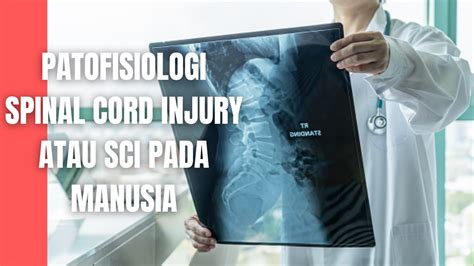 spinal cord injury bisa sembuh